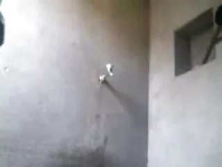 जुए एवलेउस्स सेक्सी फुल मूवी हिंदी वीडियो वॉल्यूम 2