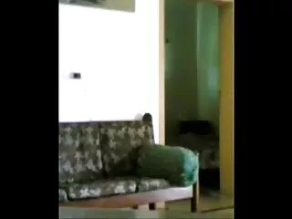 हवन अदरक हिंदी सेक्स मूवीस