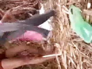 हॉट रैंडी चिक उसकी योनी में मुर्गा स्वीकार करता सेक्सी मूवी हिंदी में सेक्सी मूवी है