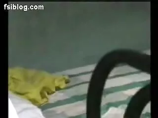 उसकी योनी के अंदर गहरा सेक्स खिलौना सेक्सी फिल्म फुल सेक्सी फिल्म