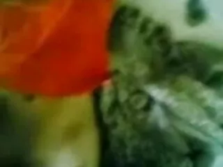 यासमीन हिंदी में सेक्सी मूवी फिल्म बुवरेट निजी कास्टिंग